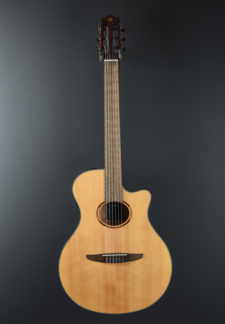 NTX1 Nylon, Recent