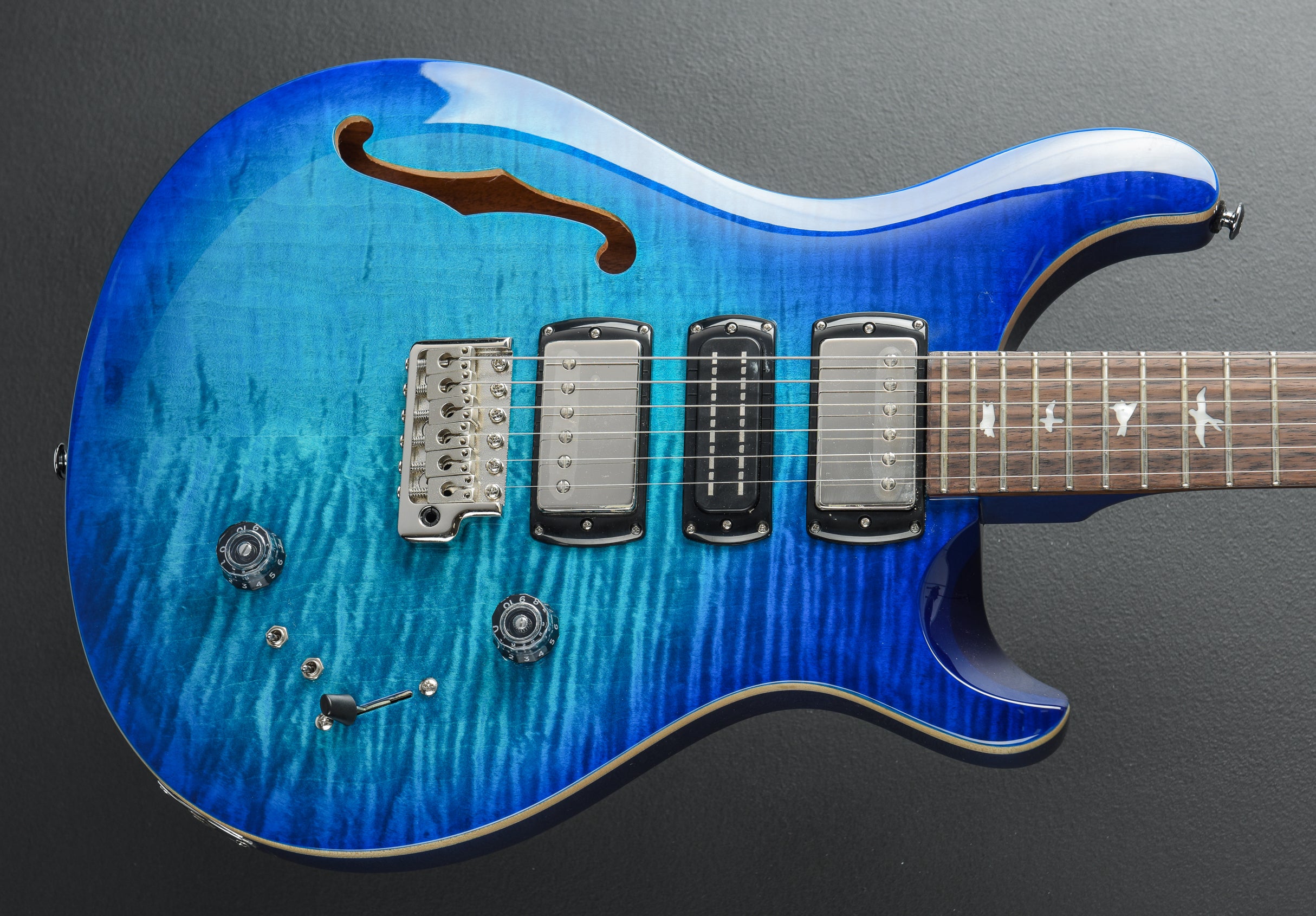 SE Special Semi Hollow '25 – Dave's Guitar Shop