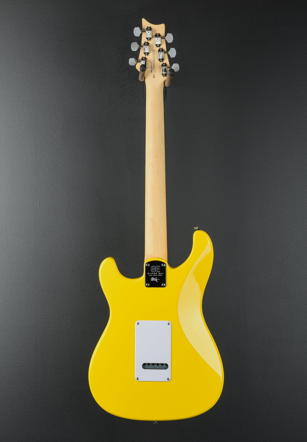 SE Silver Sky w/Rosewood, '25