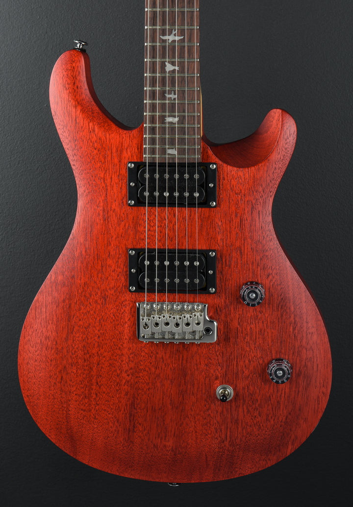 SE CE-24 Standard Satin '24