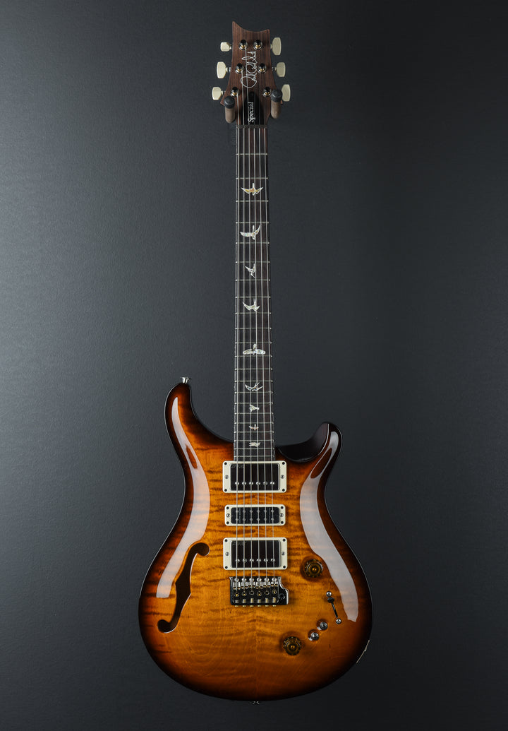 Special 22 Semi Hollow - Amber Smokewrap Burst