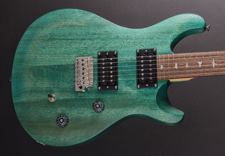 SE CE-24 Standard Satin '24