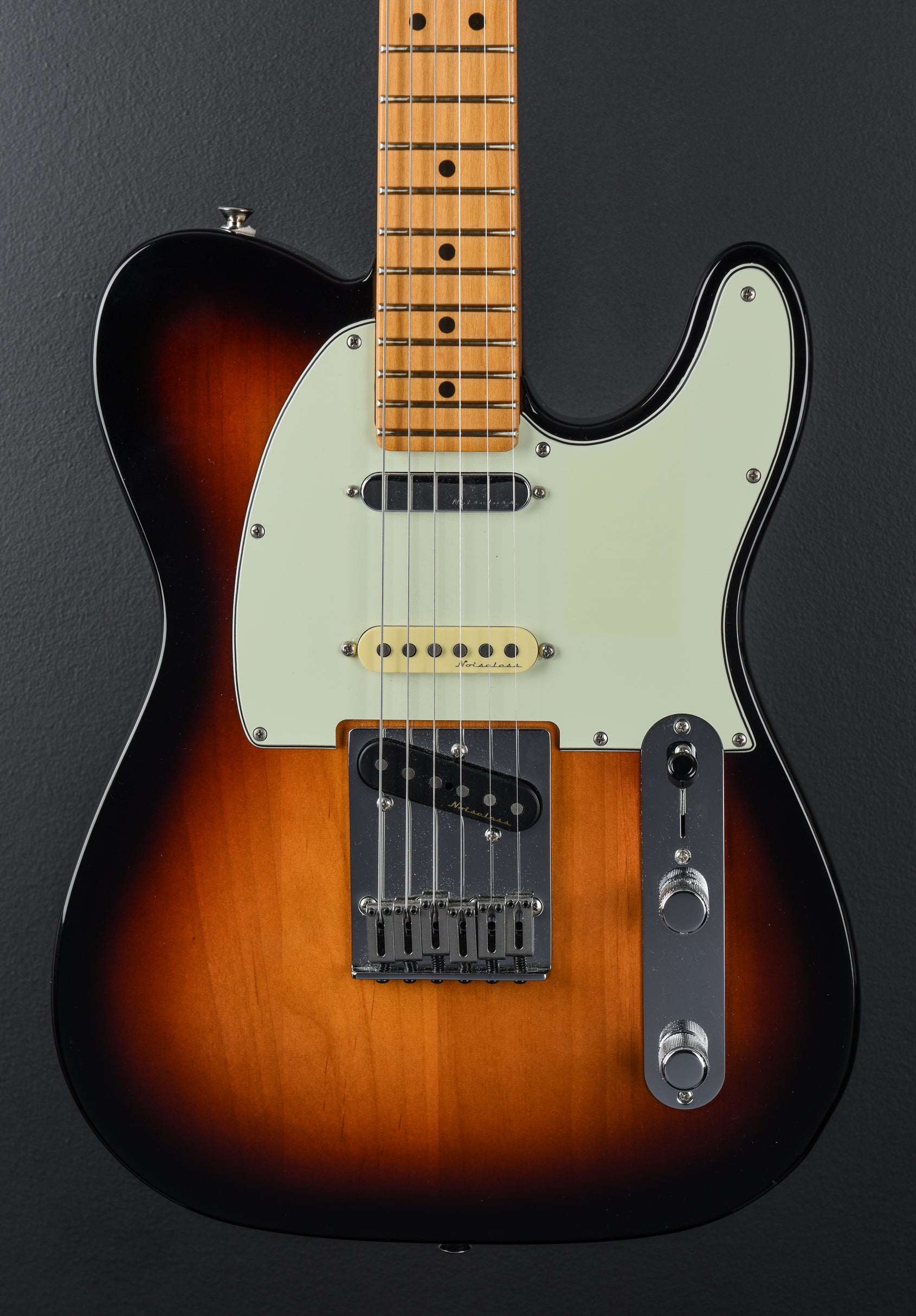 USED Player Plus Nashville Telecaster '23 – Dave's Guitar Shop