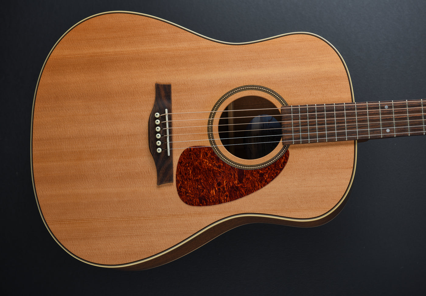 Seagull maritime sws rosewood sg qi deals