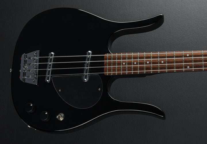 Longhorn Bass, Recent