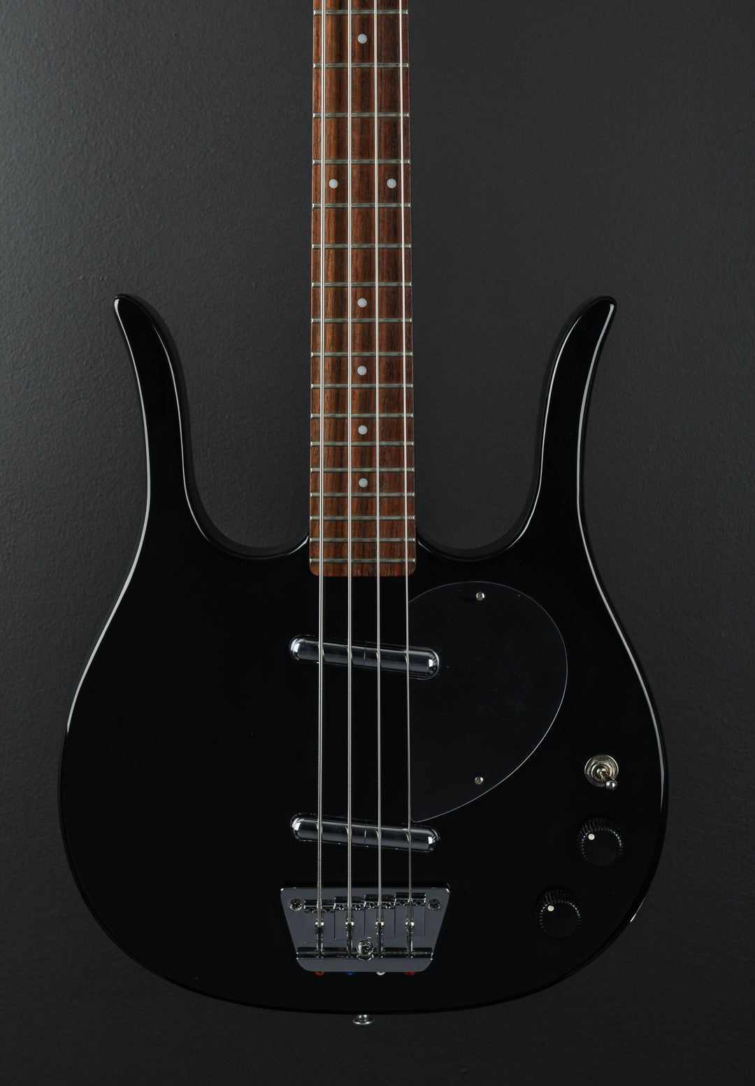 Longhorn Bass, Recent