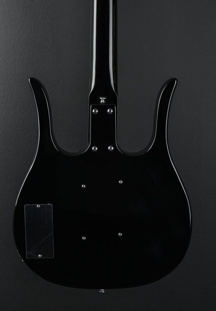 Longhorn Bass, Recent