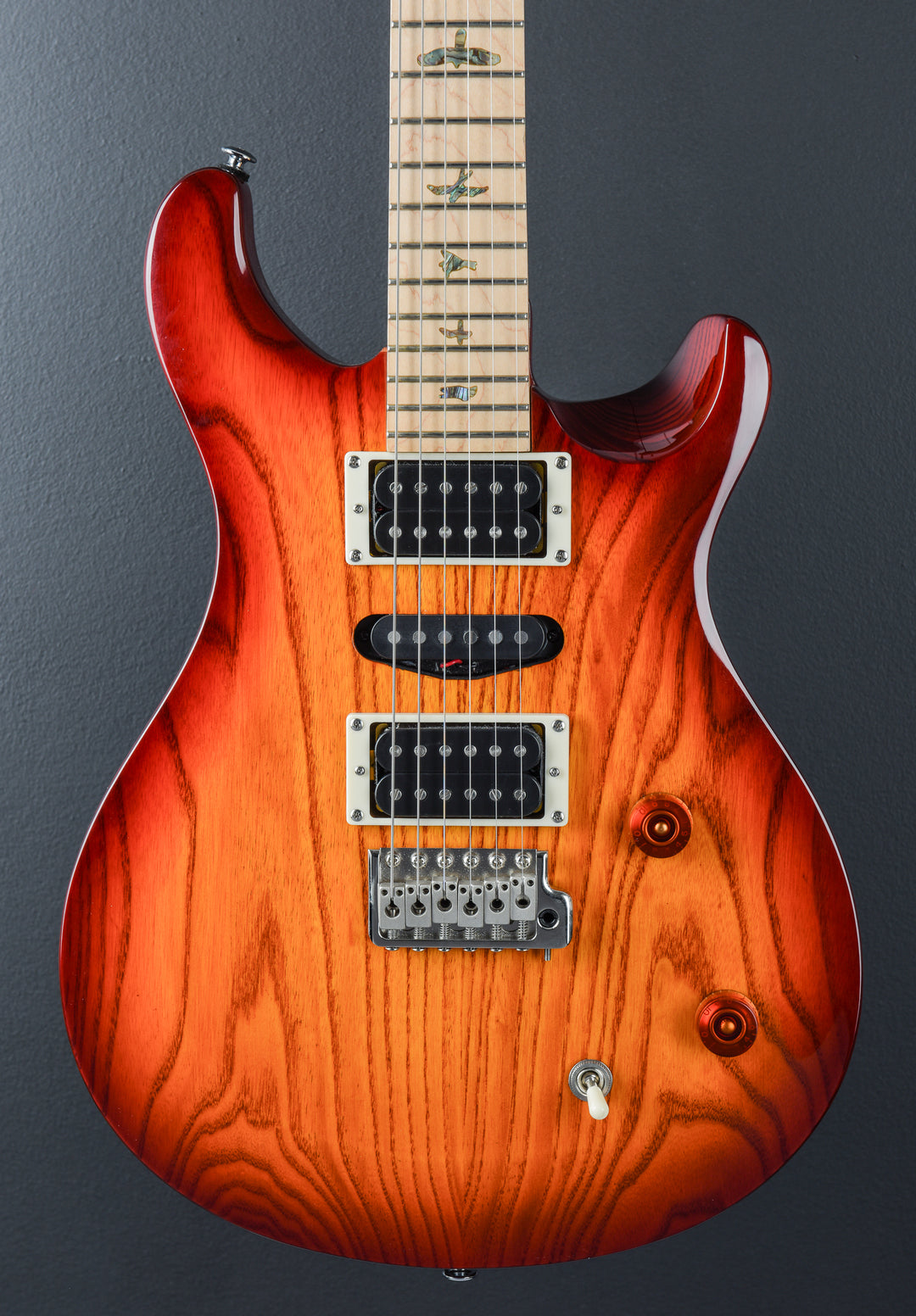SE Swamp Ash Special '23