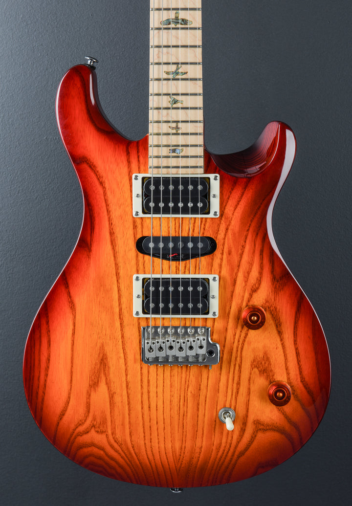 SE Swamp Ash Special '23