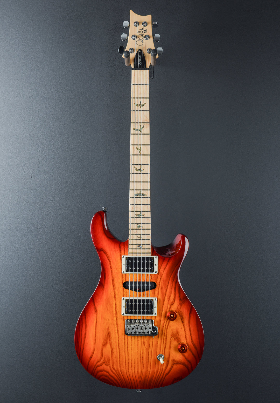 SE Swamp Ash Special '23