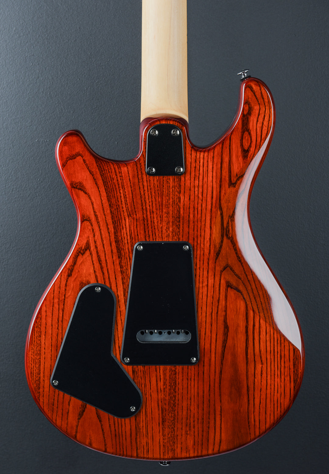SE Swamp Ash Special '23