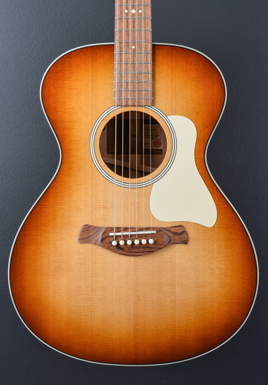 Ben Harper Gold Label 512E Special Edition