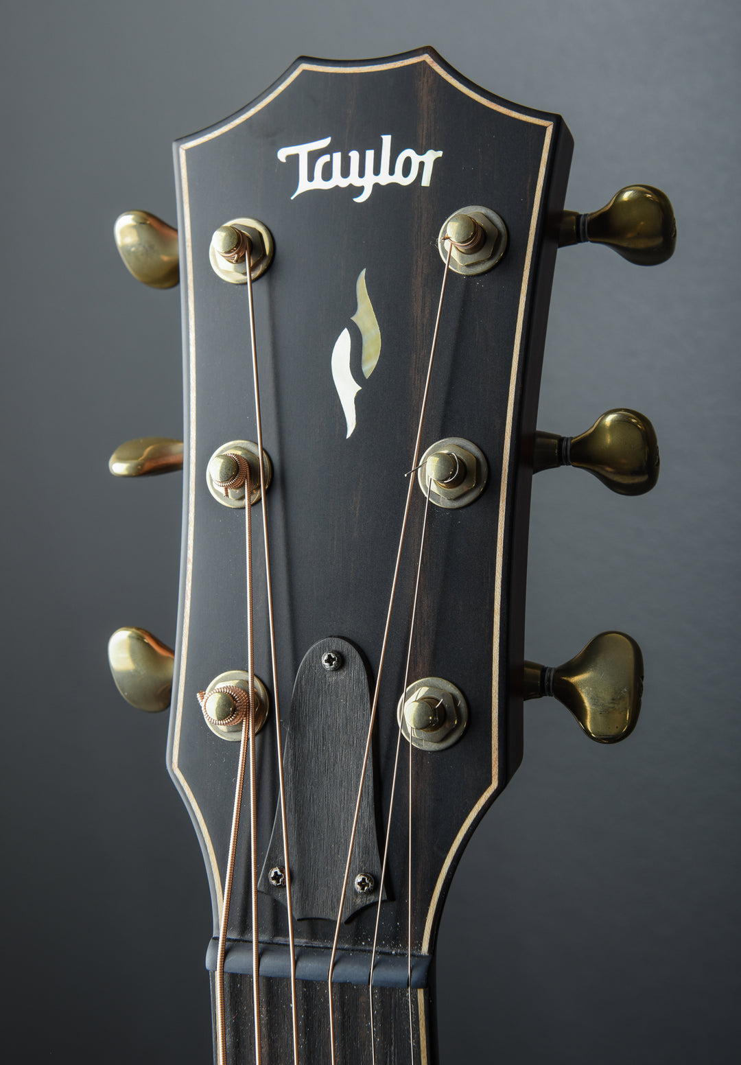 Builder's Edition 814ce LTD 50th Anniversary '24