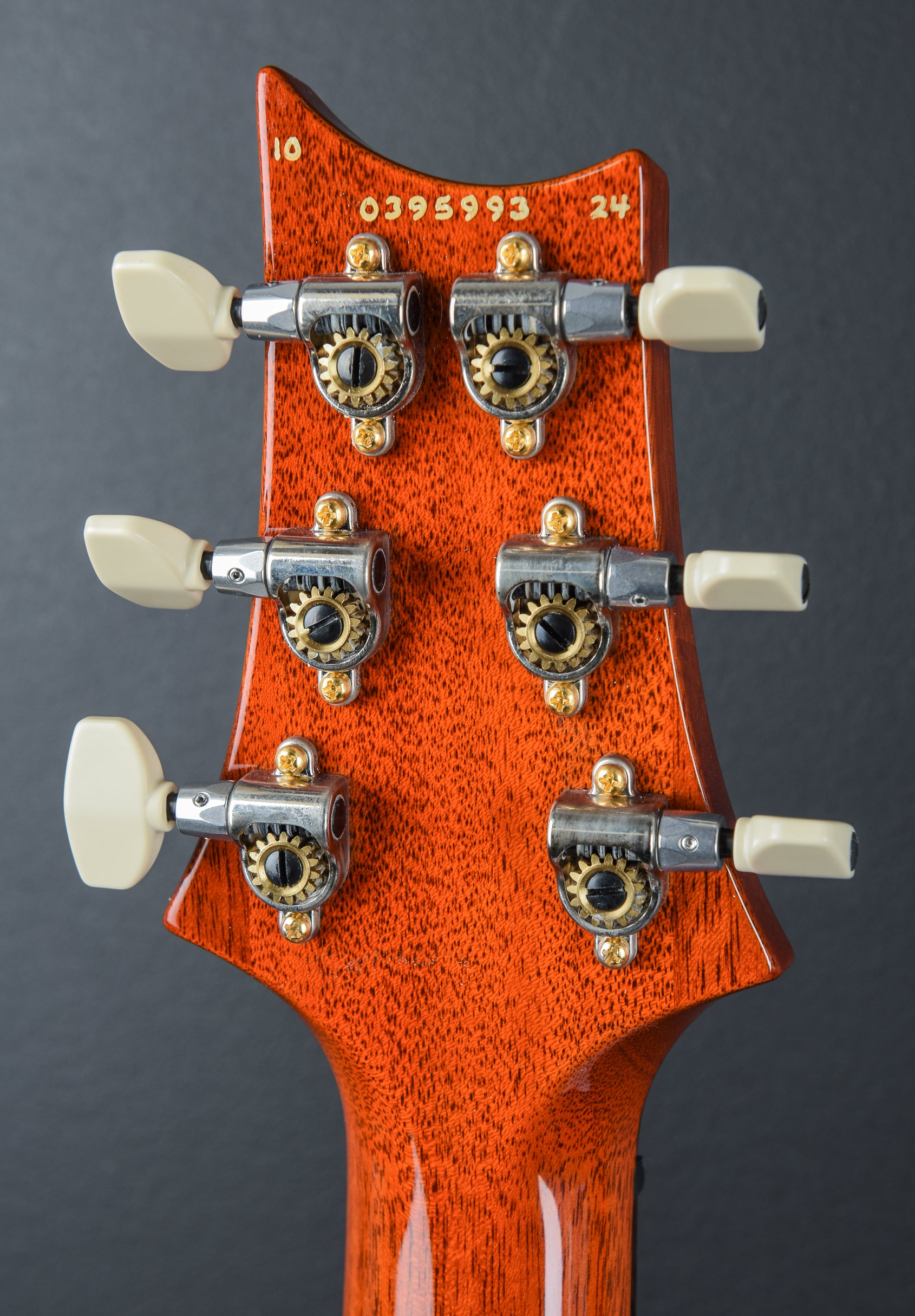 Custom 24 10 Top Left Hand - Burnt Maple Leaf '24 – Dave's Guitar Shop