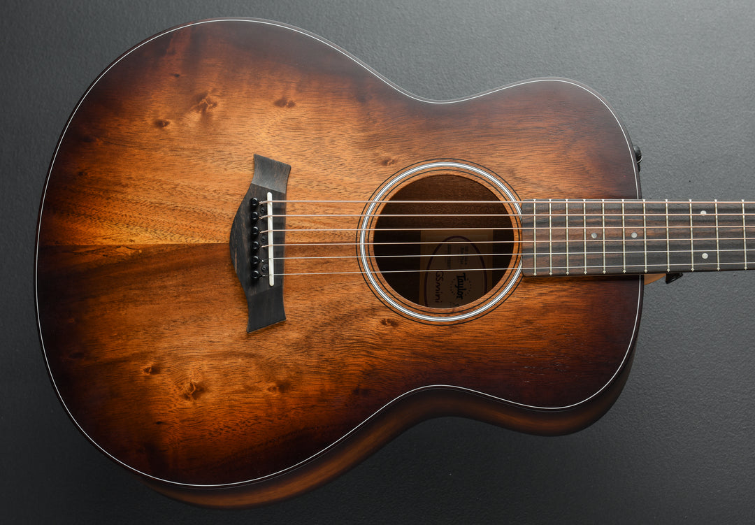 USED GS Mini-E Koa Plus &