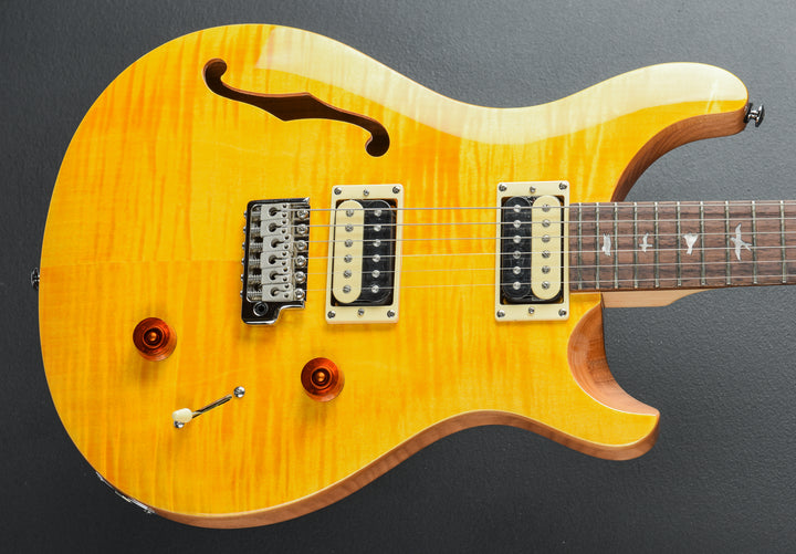 SE Custom 22 Semi-Hollow &