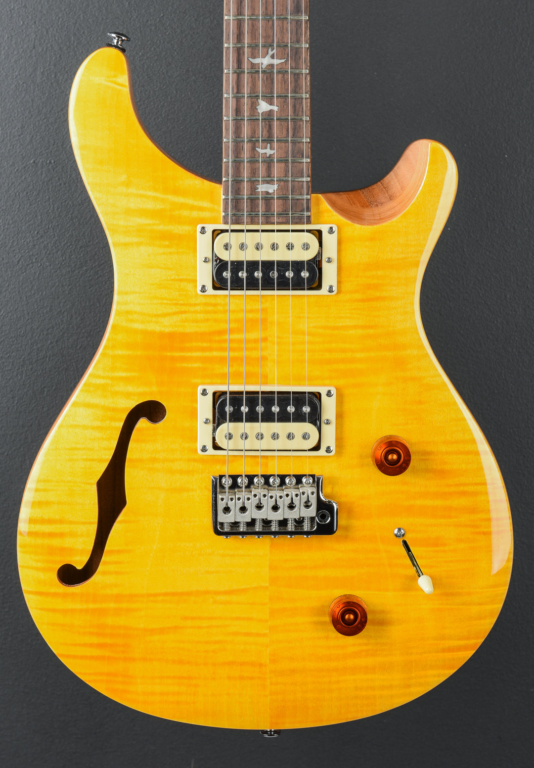 SE Custom 22 Semi-Hollow &