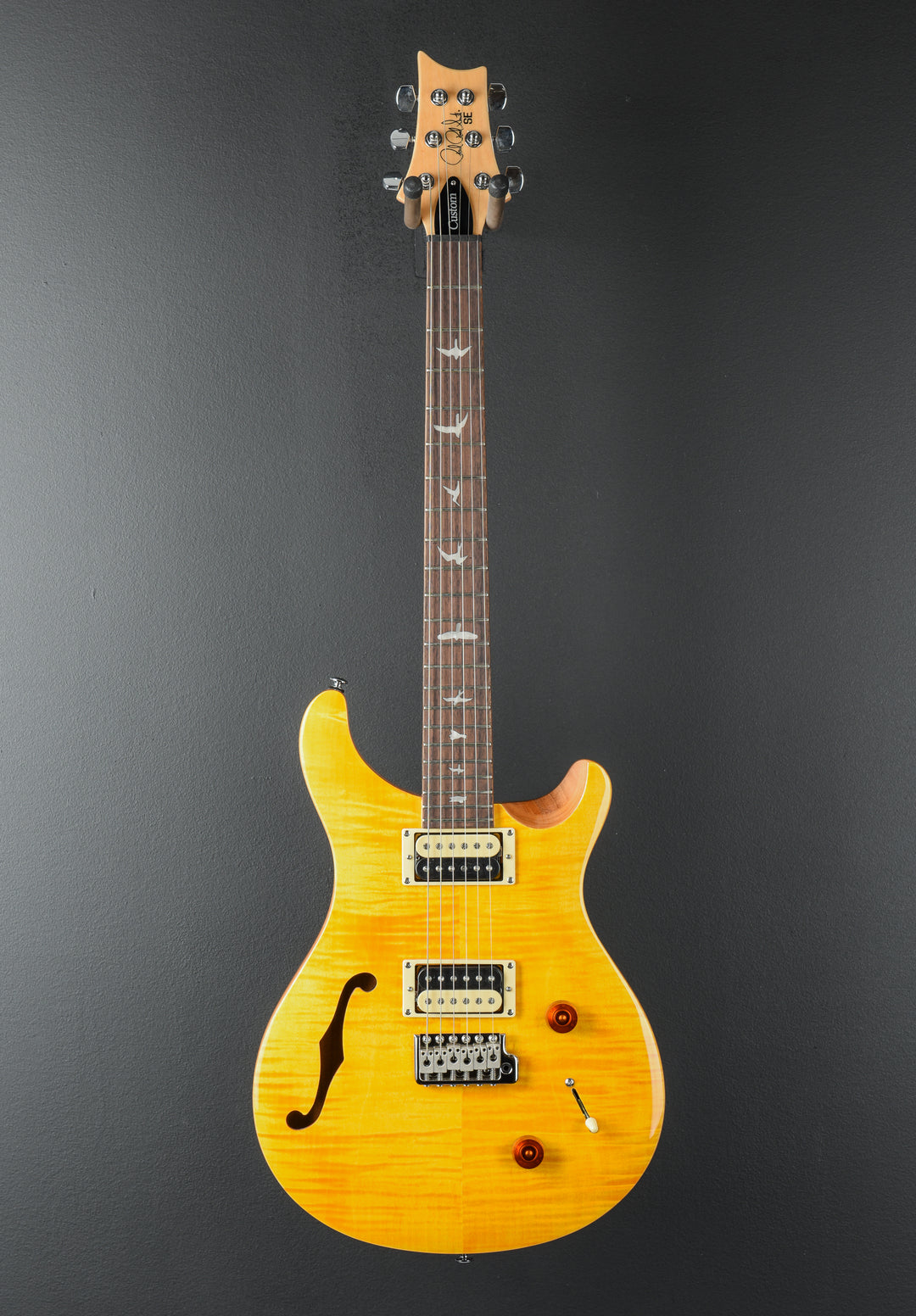 SE Custom 22 Semi-Hollow &