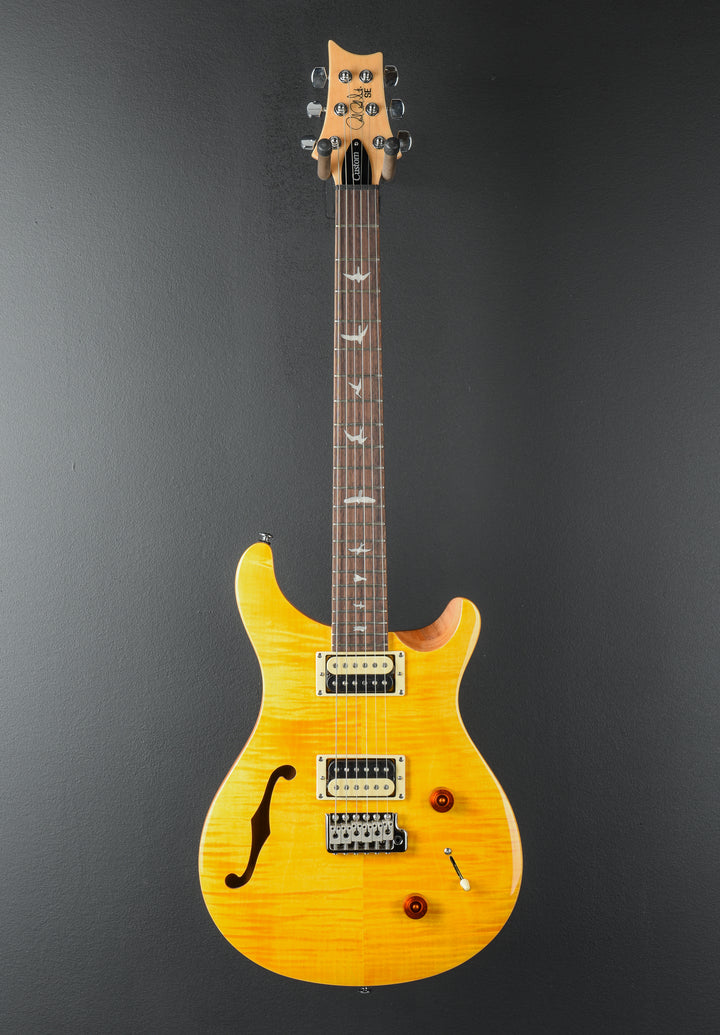SE Custom 22 Semi-Hollow &