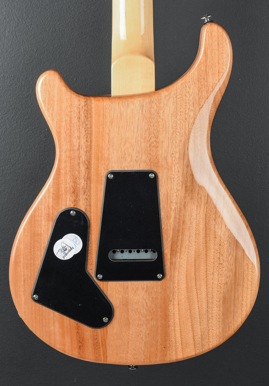 SE Custom 22 Semi-Hollow &