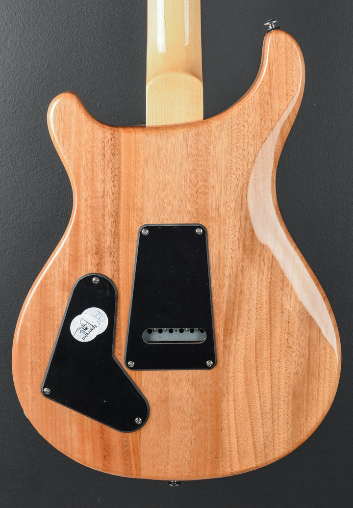 SE Custom 22 Semi-Hollow &