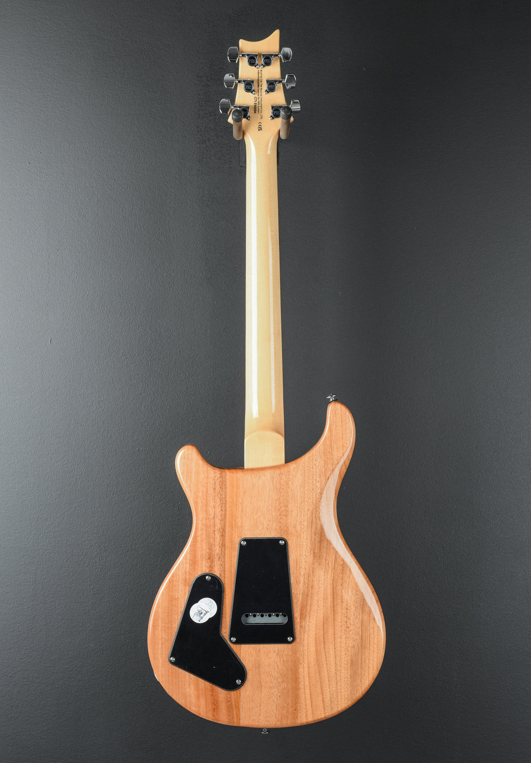 SE Custom 22 Semi-Hollow &