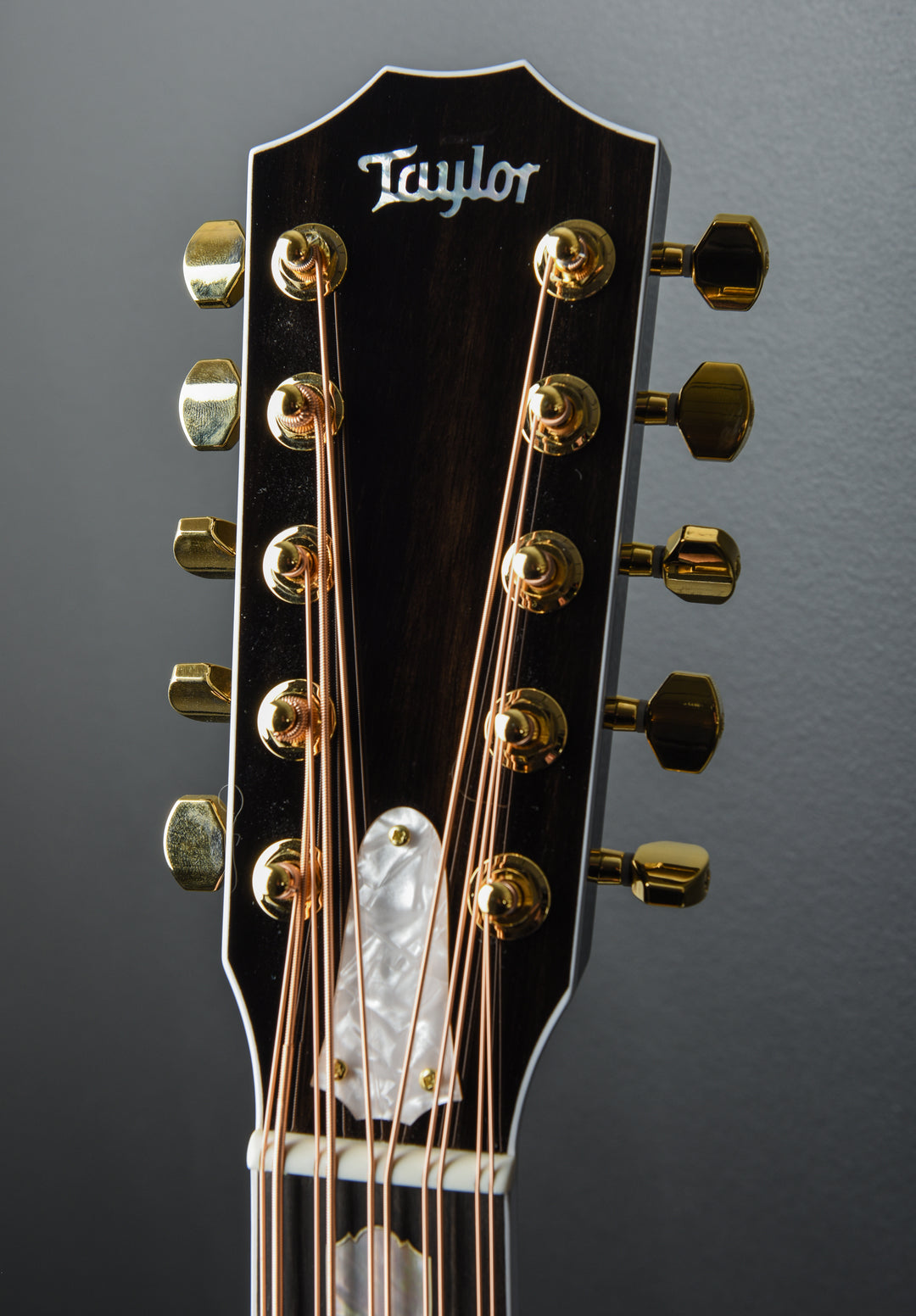 657CE 10 String Bajo Quinto '25