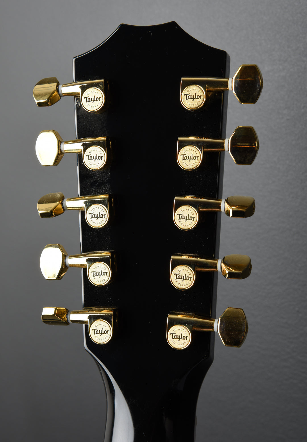 657CE 10 String Bajo Quinto '25