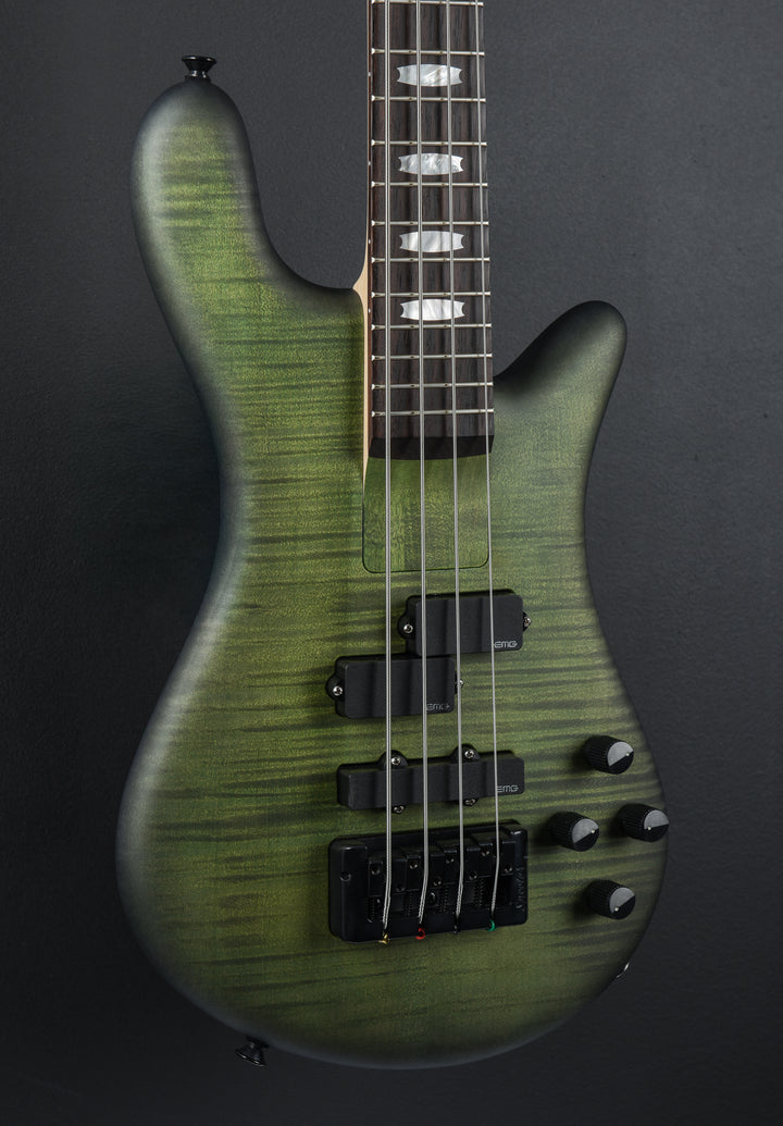 Euro 4 LX Bolt-On - Haunted Moss