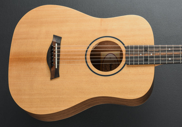USED Baby Taylor (BT1) &