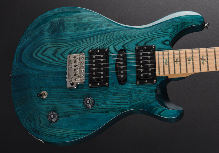 SE Swamp Ash Special '24