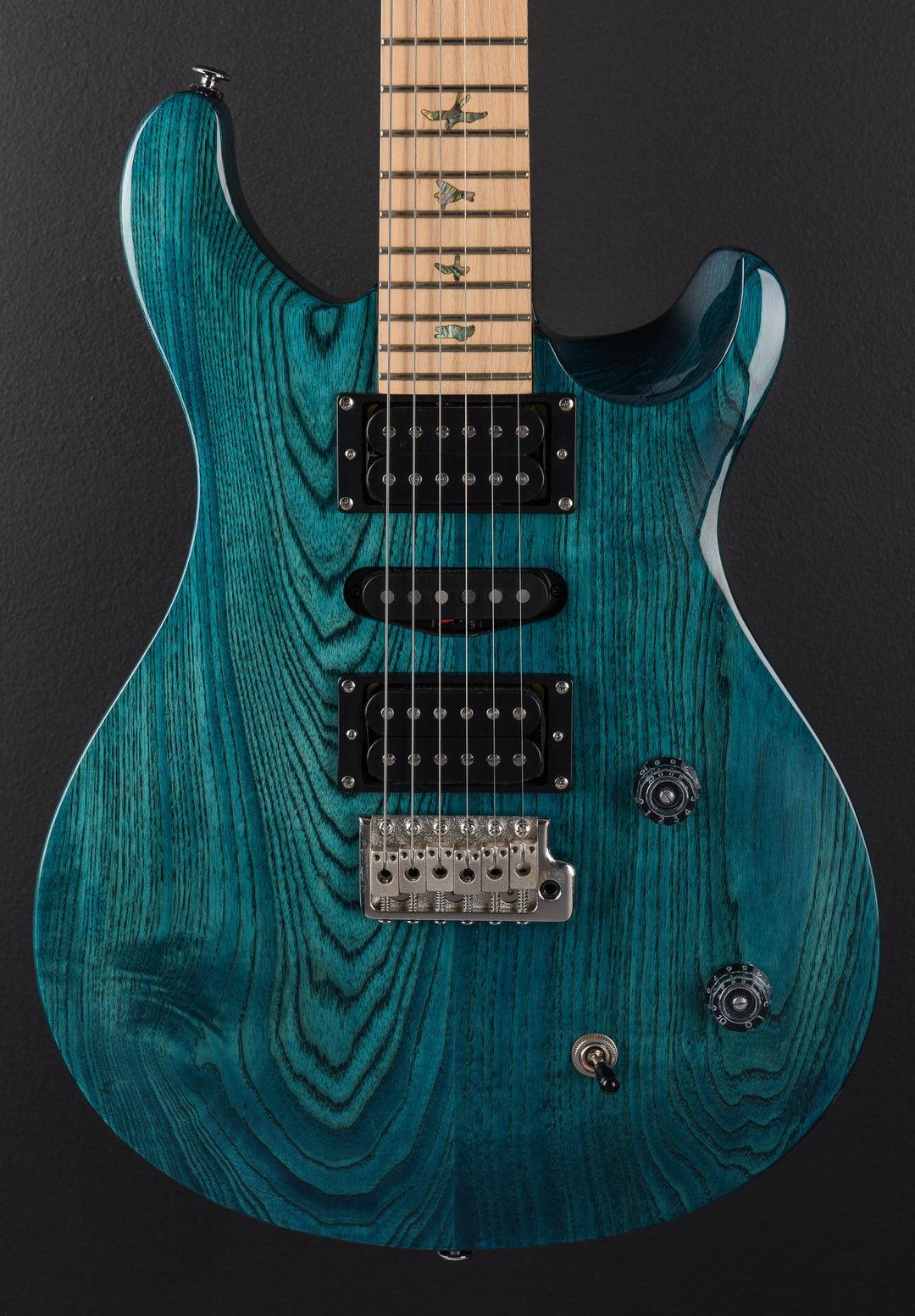 SE Swamp Ash Special '24