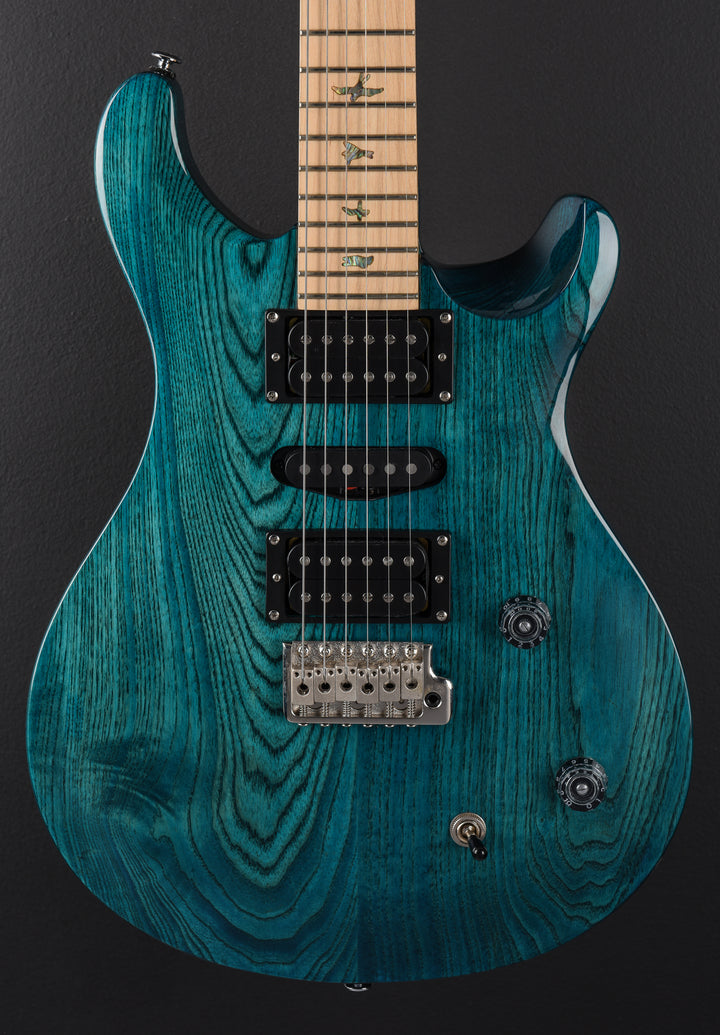 SE Swamp Ash Special '24
