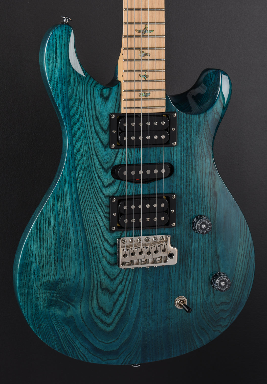 SE Swamp Ash Special '24