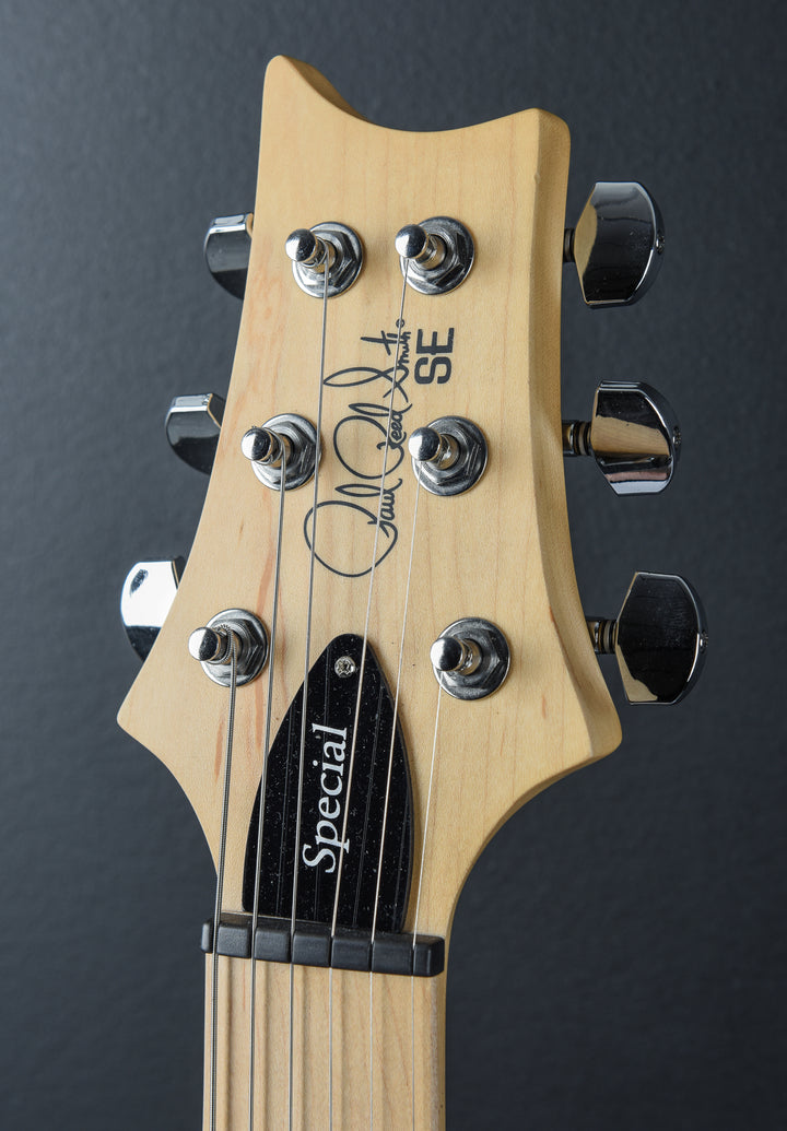 SE Swamp Ash Special '24