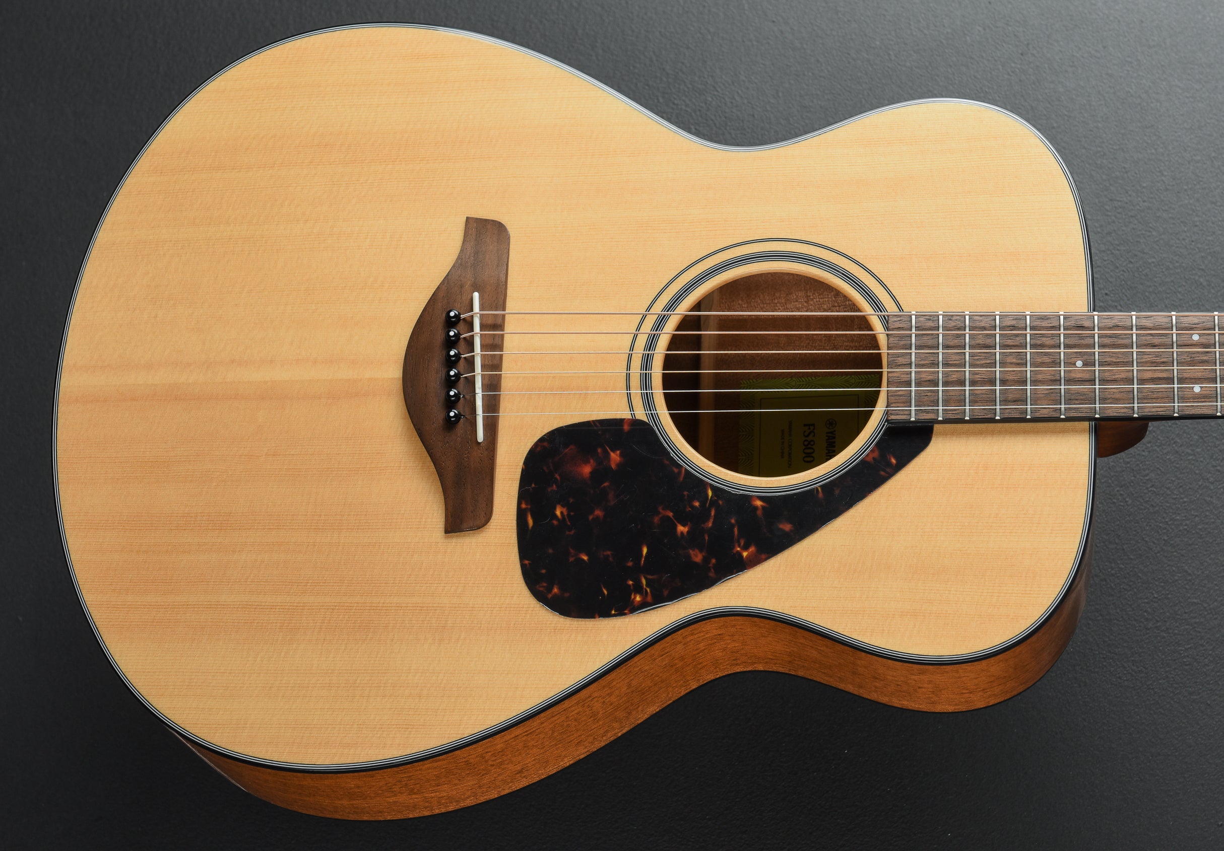 FS800 '24 – Dave's Guitar Shop