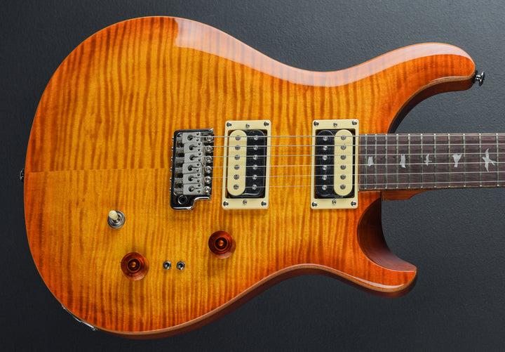 SE Custom 24-08 &