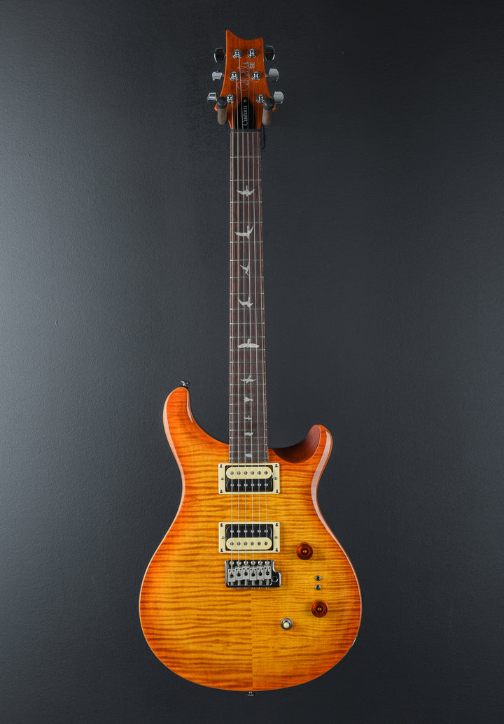 SE Custom 24-08 &