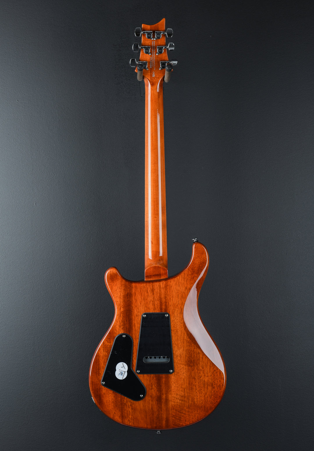 SE Custom 24-08 &