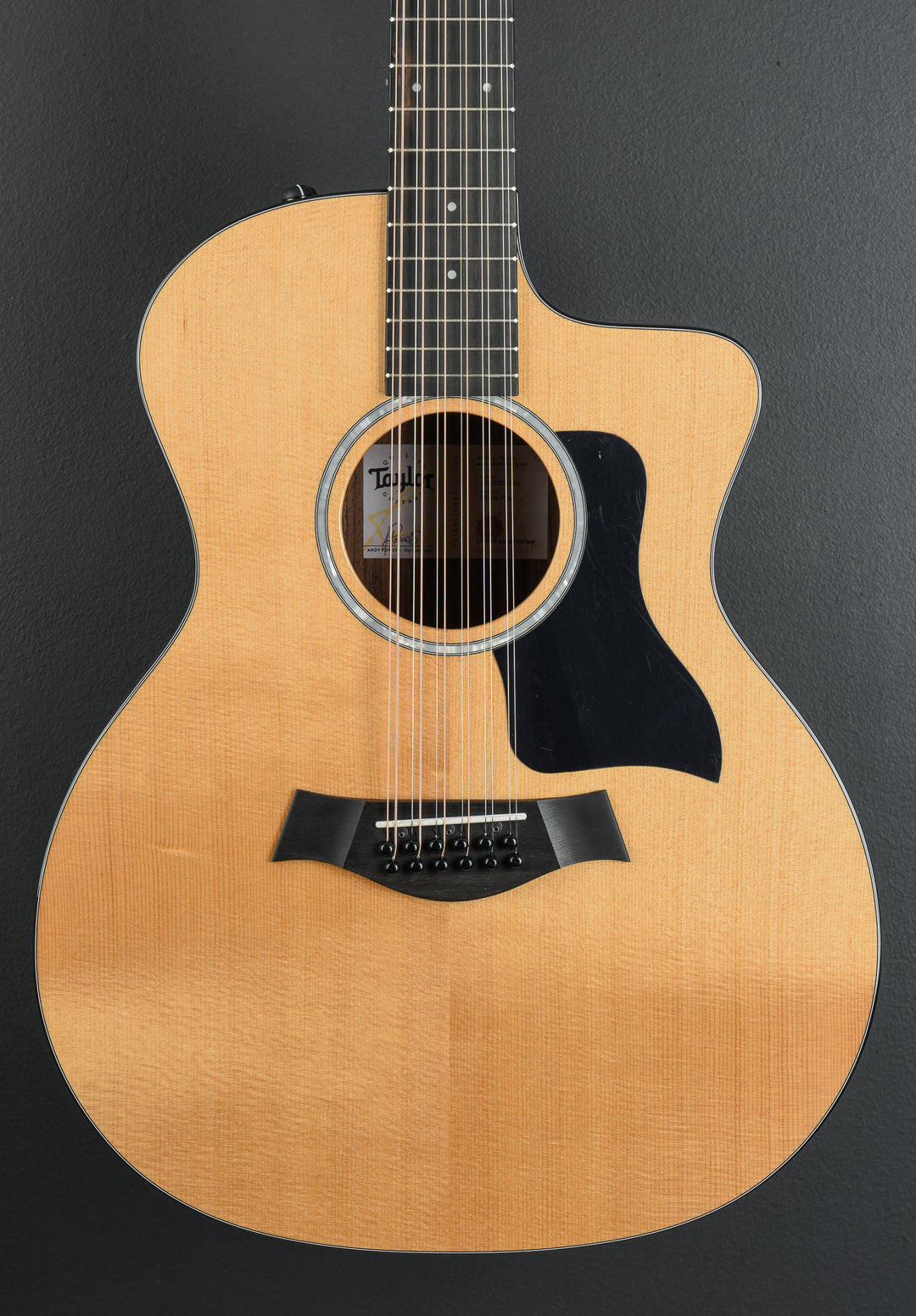 254CE Plus 12 String '25