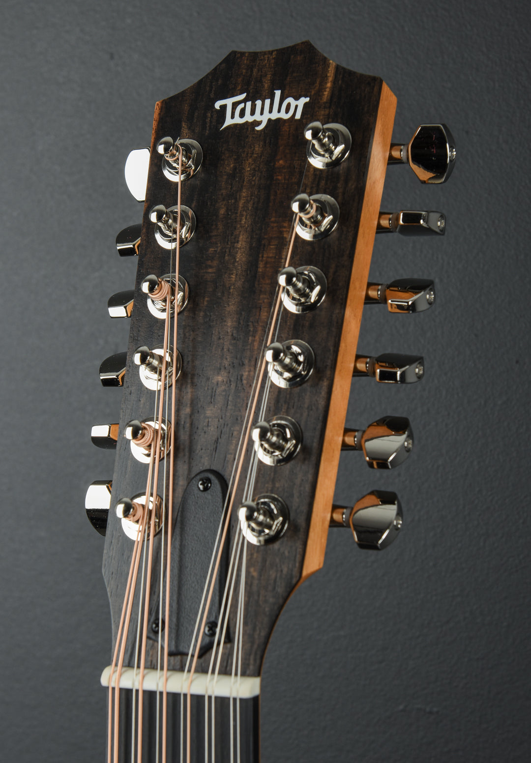 254CE Plus 12 String '25