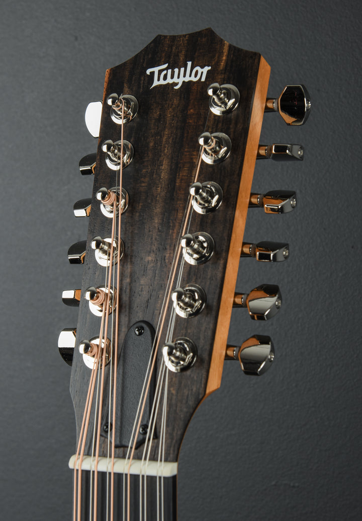 254CE Plus 12 String '25