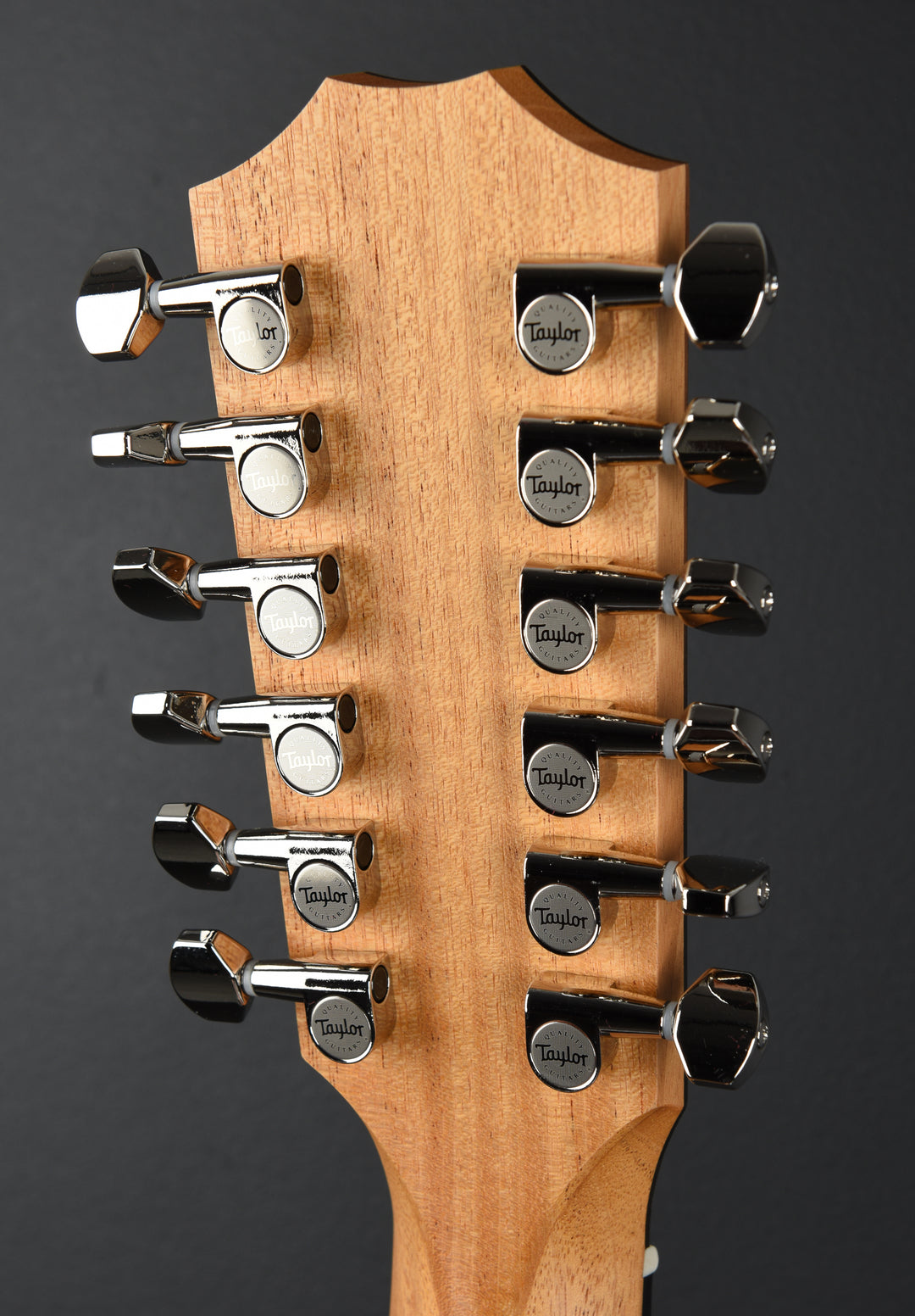 254CE Plus 12 String '25