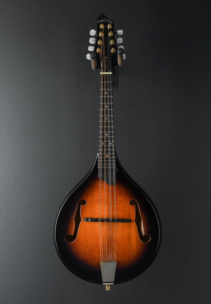 GM-A+ Rigel A Style Mandolin, Recent