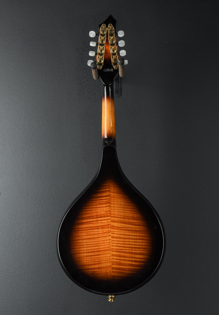 GM-A+ Rigel A Style Mandolin, Recent