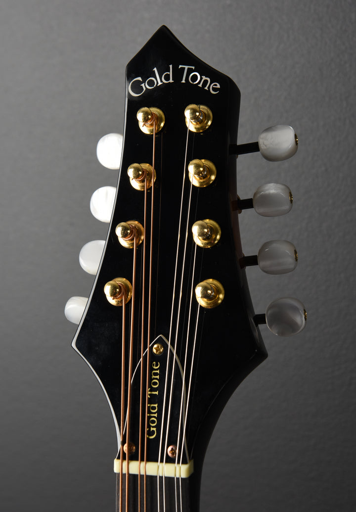 GM-A+ Rigel A Style Mandolin, Recent