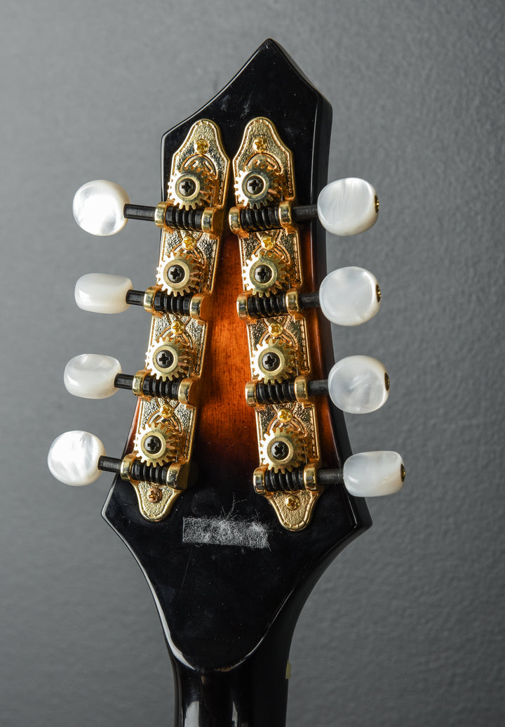 GM-A+ Rigel A Style Mandolin, Recent