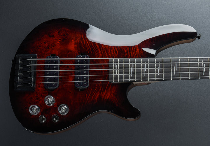 Omen Elite-5, Recent
