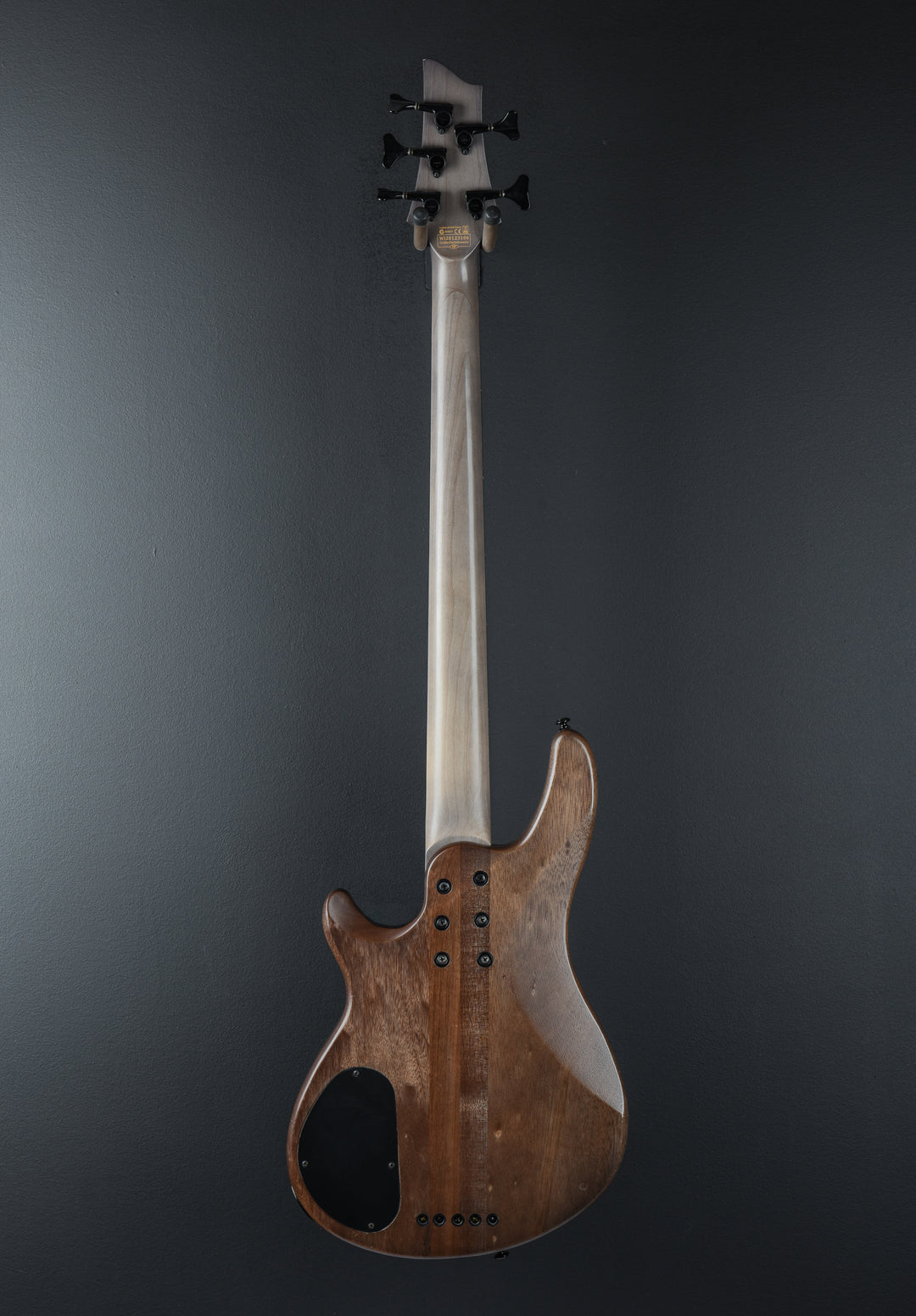 Omen Elite-5, Recent