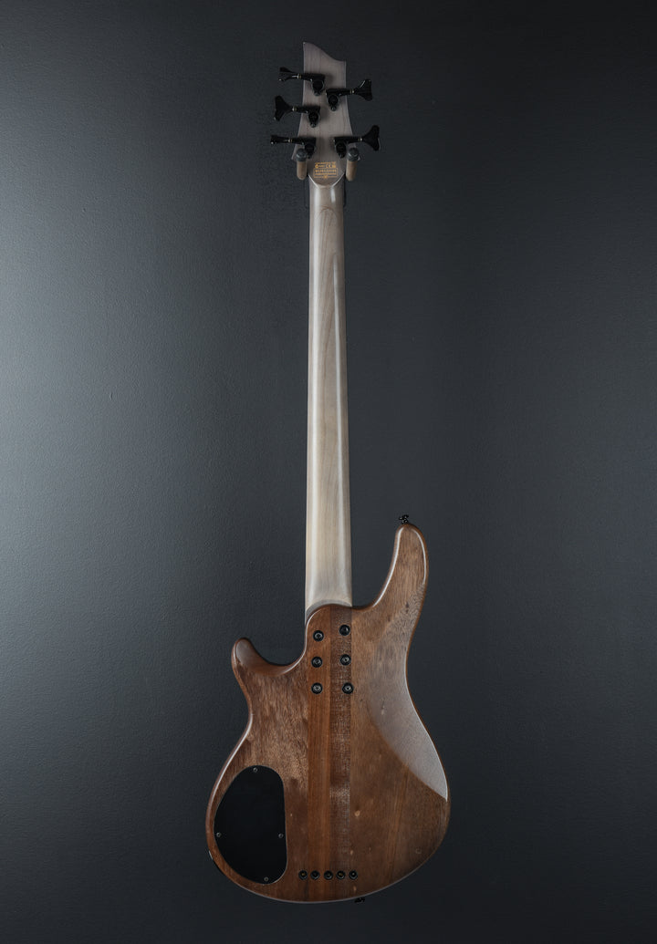 Omen Elite-5, Recent